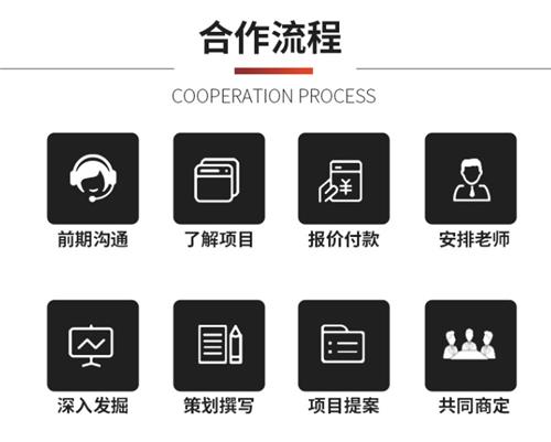 产品商业计划书编制公司 企业投资